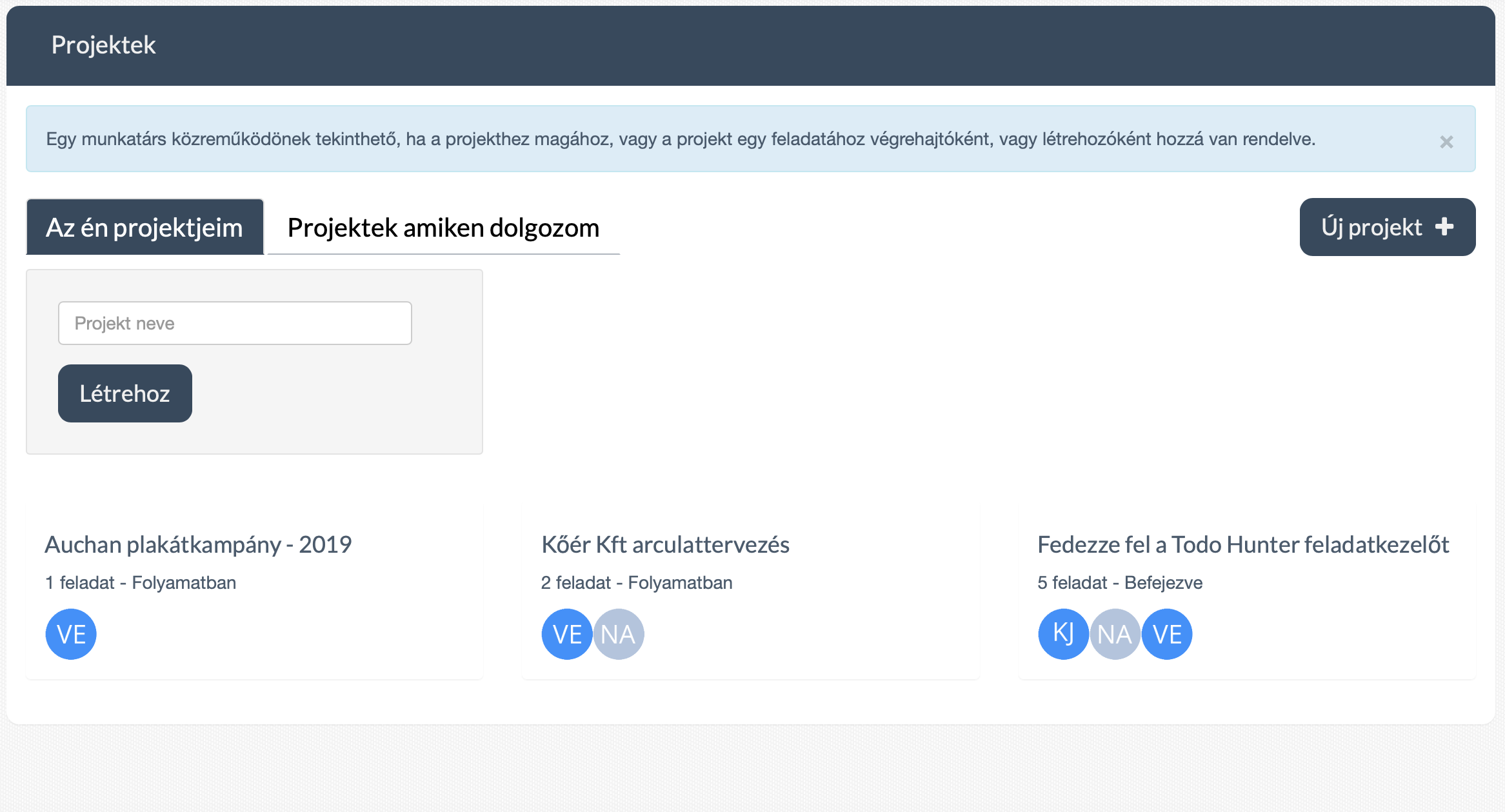 Todo Hunter online feladatkezelő szoftver - Projektek kezelése